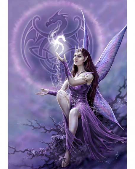 Draco Faerie