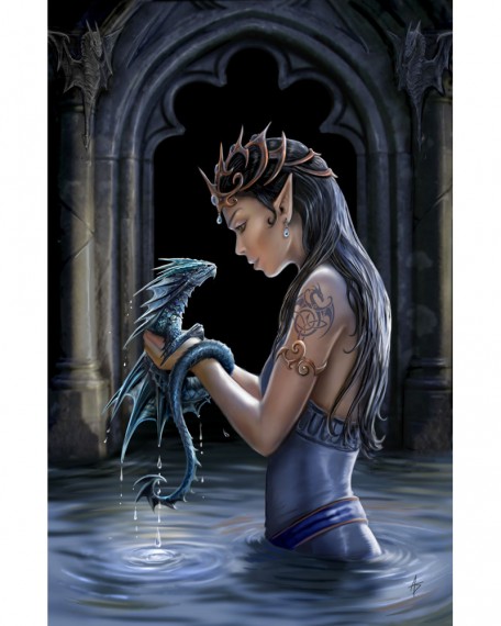 Water Dragon