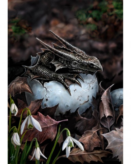 Hatchling
