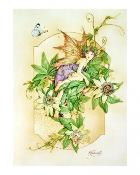 Passiflora