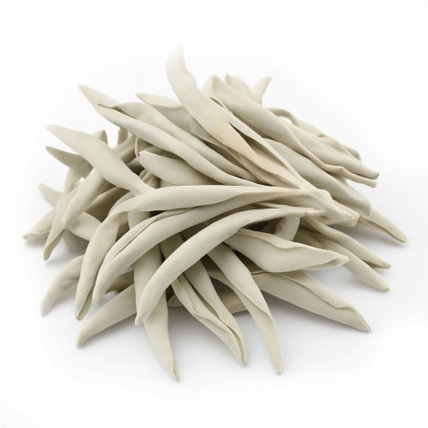 Λευκό Φασκόμηλο (White Sage) 50γρ