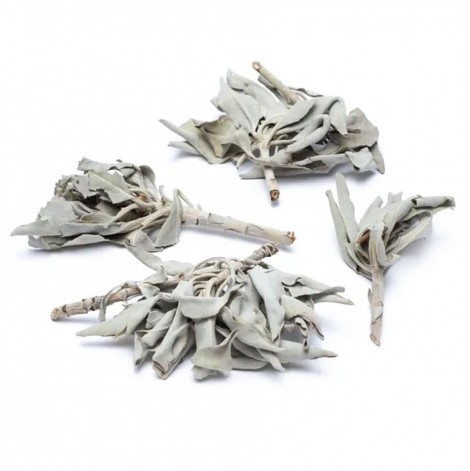 Λευκό Φασκόμηλο (White Sage) 50γρ