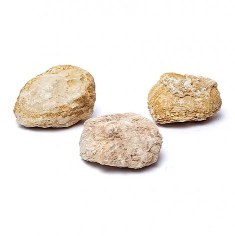 Γεώδης Ασβεστίτης Άσπαστος – Calcite Geode 8cm