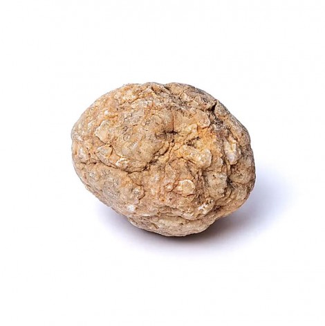 Γεώδης Ασβεστίτης Άσπαστος – Calcite Geode 8cm