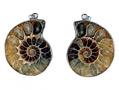 Μενταγιόν Αμμωνίτης (Ammonite) 3,5cm