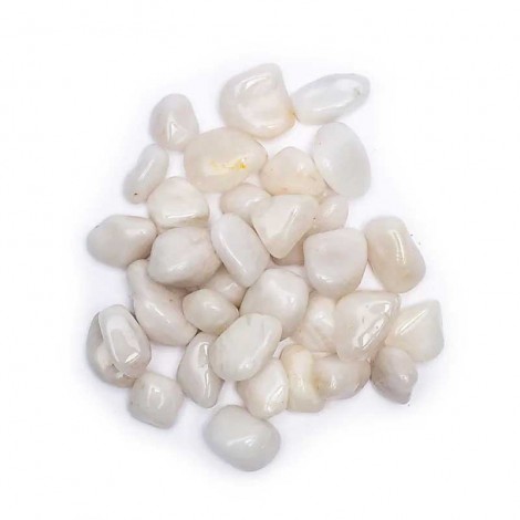 Βότσαλο Γαλακτώδης Χαλαζίας – Milky Quartz 2-3cm