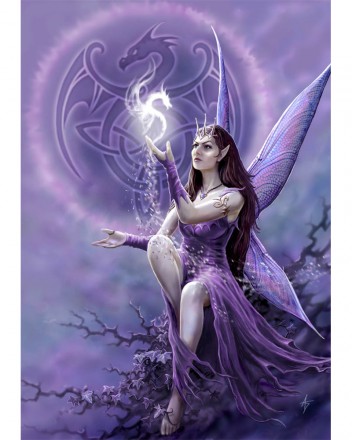Draco Faerie