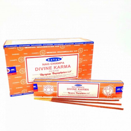 Αρωματικά Στικ Satya Divine Karma 15g